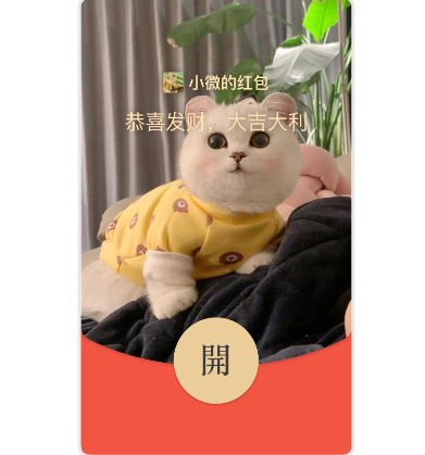 皮卡丘猫/动态音乐[购买表情包赠]红包封面皮肤