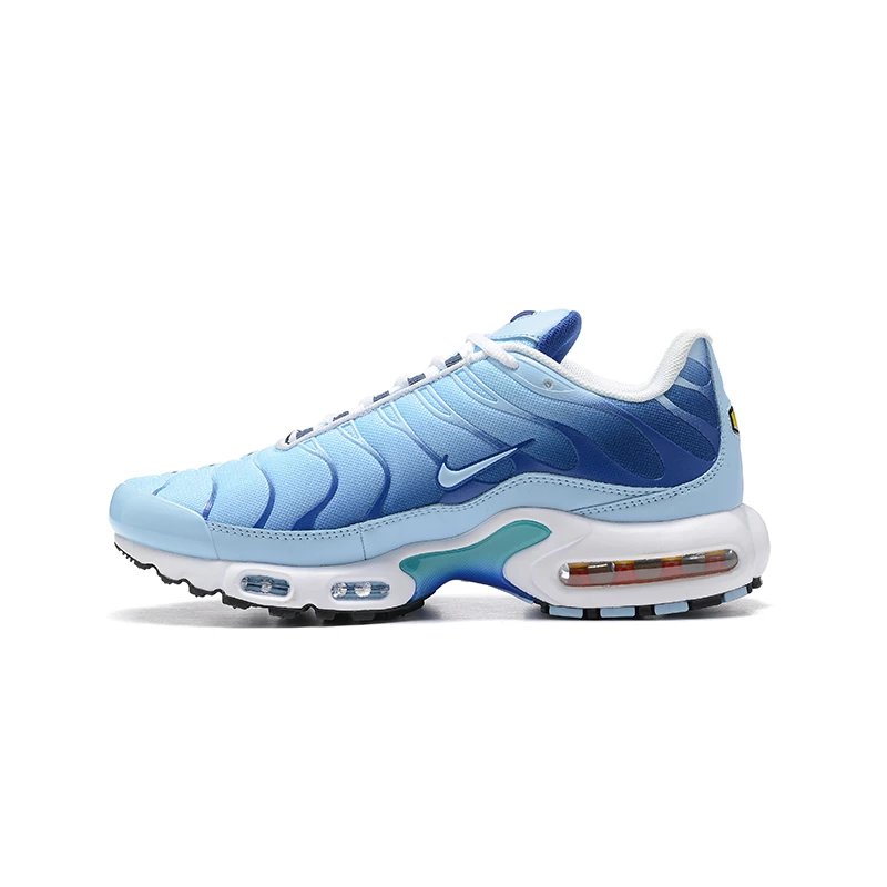 Blue/White