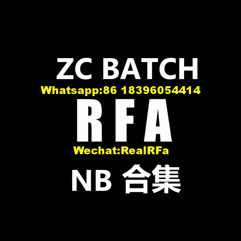 CEO [Z * C] N * B Collection