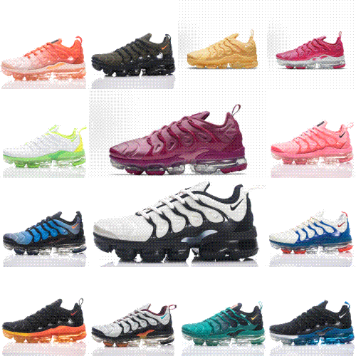 Nike Air VaporMax Plus Sneaker