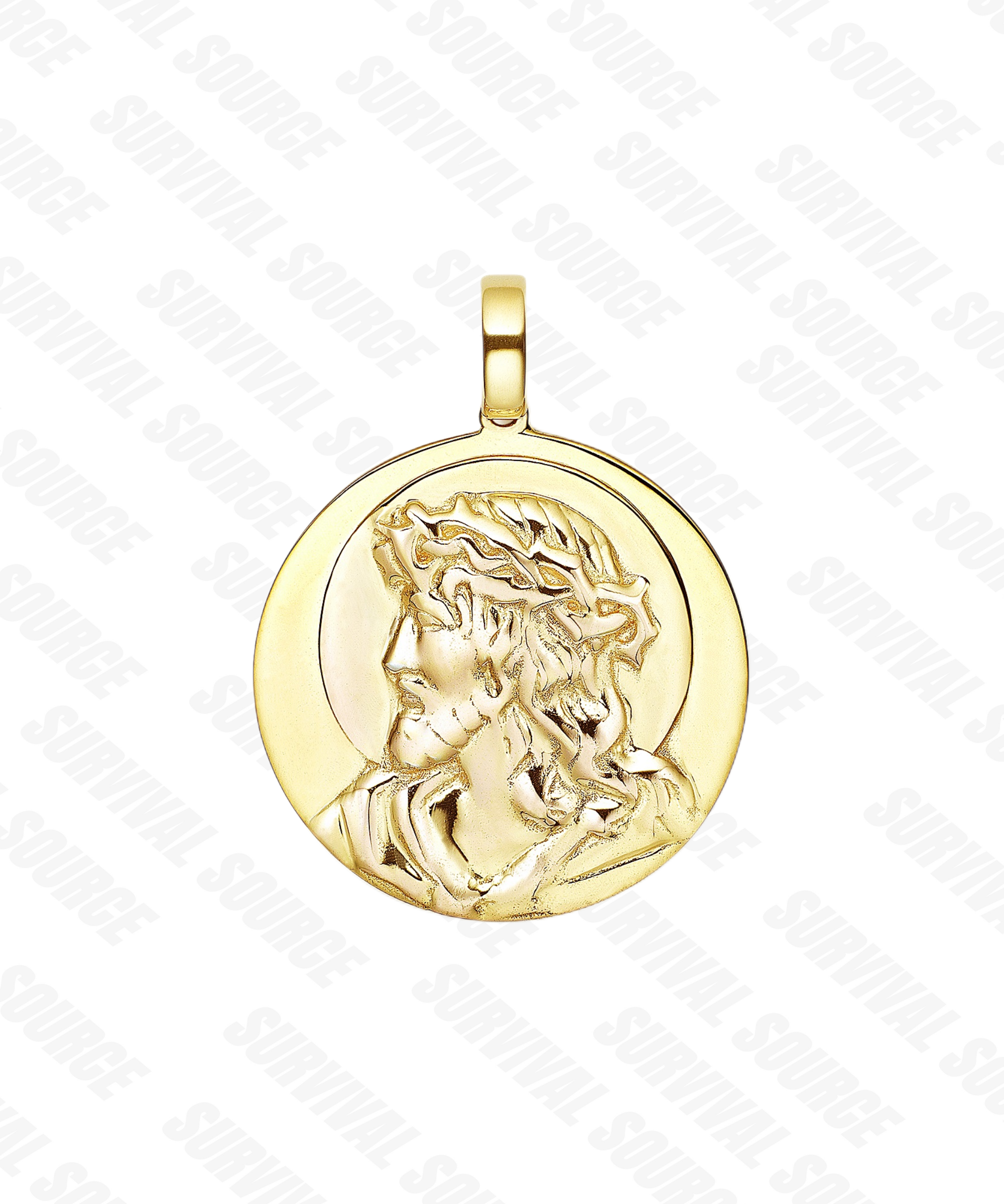 SURVIALSOURCE S925 Silver Gold Plated Double Pendant Hip Hop Necklace