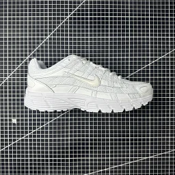 thumbnail for 【Top version】N*** P-6000