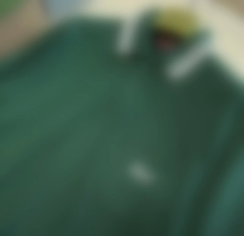 P299 G刺绣字母POLO衫绿色