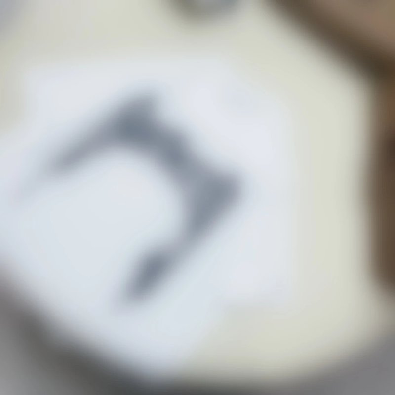 P209 BU 闪电大logo短袖