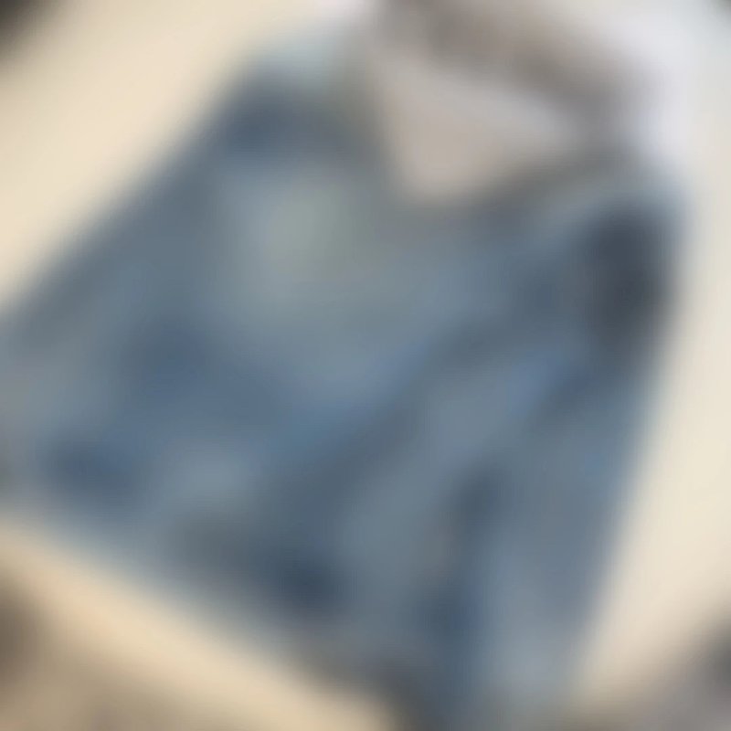 P549 CE牛仔连帽衫外套