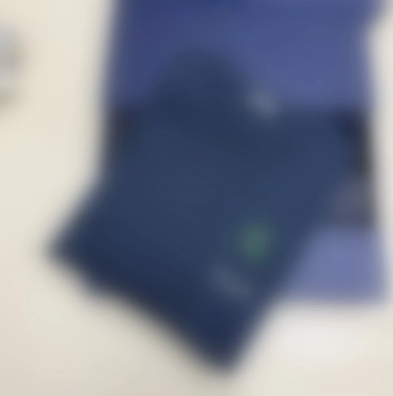 P259 D龙年限定短袖 蓝色