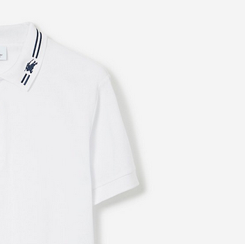 P289 领条纹战马刺绣POLO