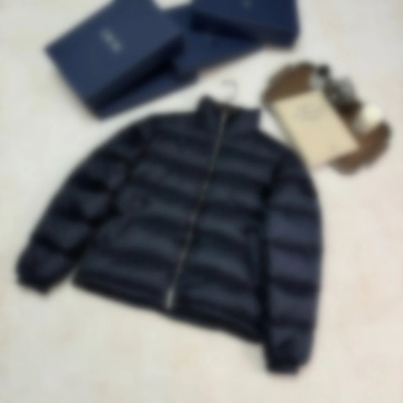 P1099 dr经典羽绒服