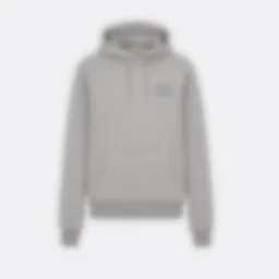 thumbnail for DC embroidered hoodie gray