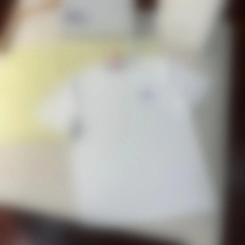 P219 骑士兰刺绣T恤 白色
