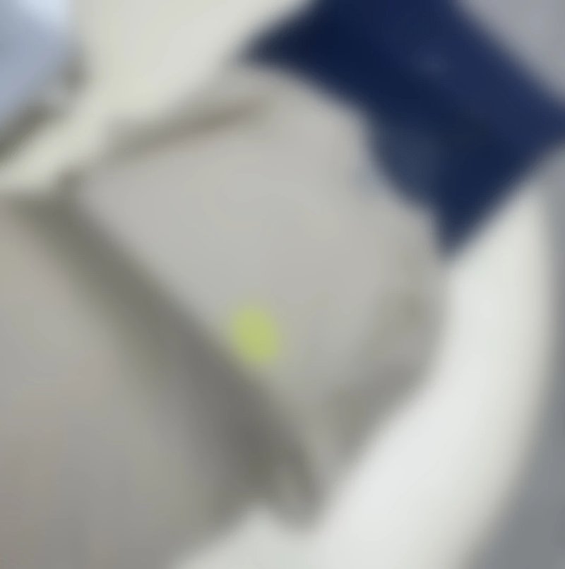 P229 D经典刺绣短袖 杏色