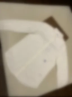 thumbnail for 马术EI绣府绸衬衫 白色