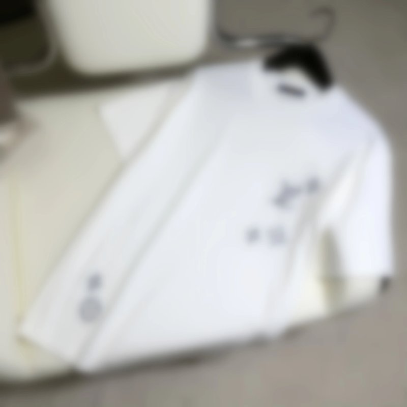 P229 三花线条刺绣T恤白色