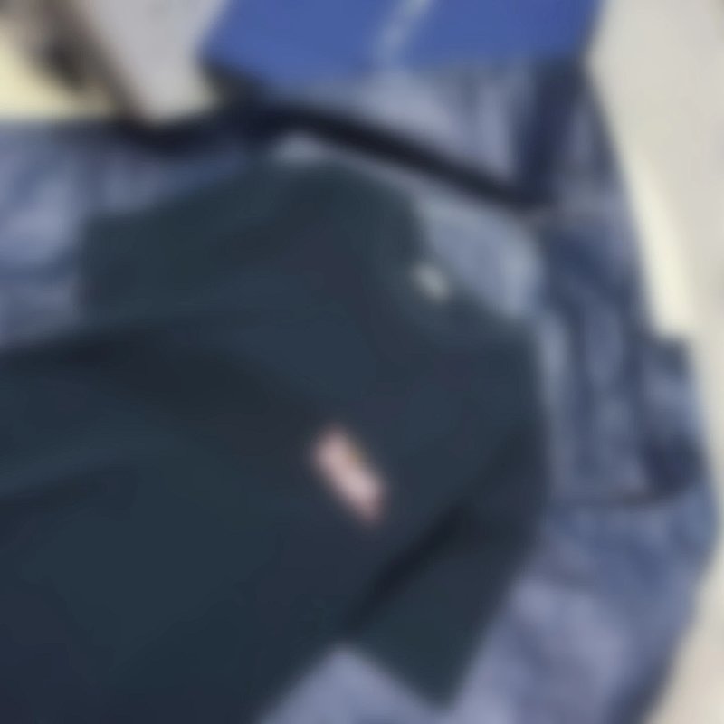 P229 DR蛇年字母刺绣T恤 深蓝色