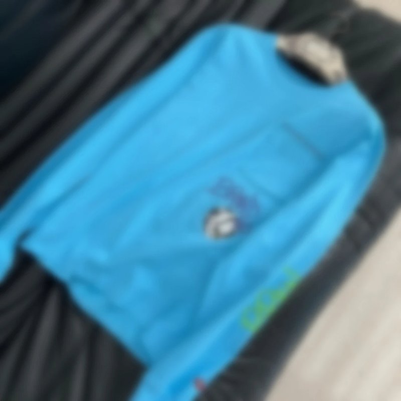 P419 限定蓝色圆领卫衣