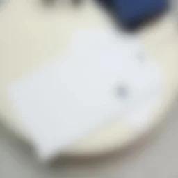 thumbnail for R字母章子短袖白色