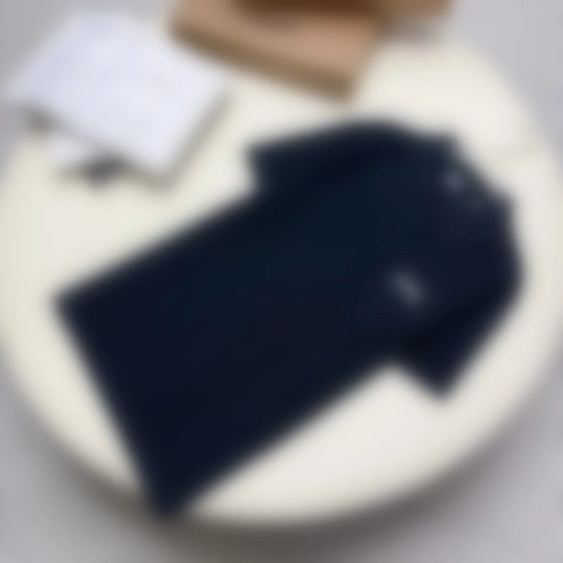 P289 BR手写字母刺绣POLO衫