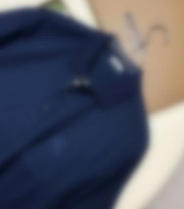 P289 BR战马刺绣POLO衫深蓝色