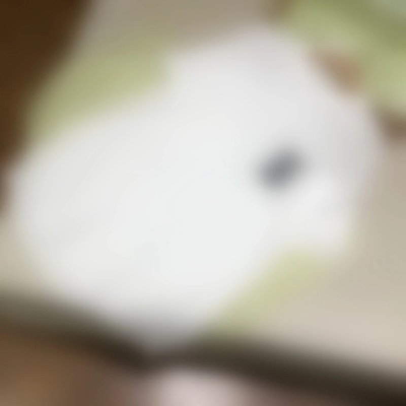 P209 BT短袖白色