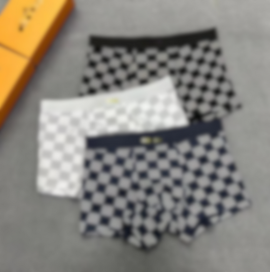 Louis Vuitton Damier boxers