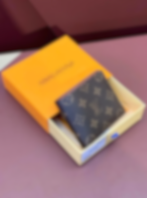 Louis Vuitton monogram wallet