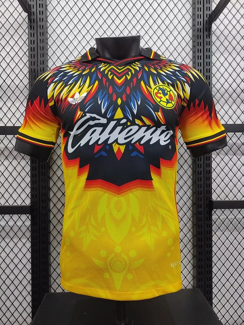 Americas special edition football jersey