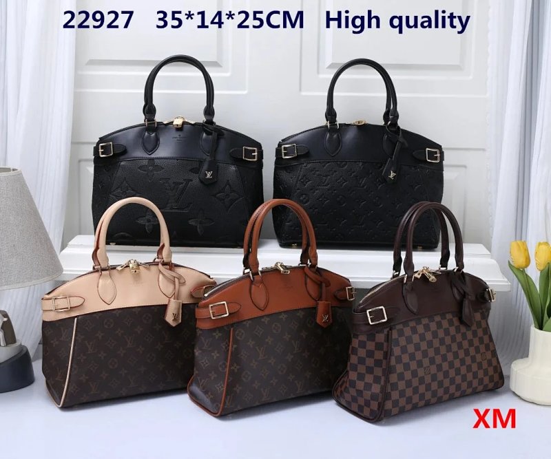 Louis Vuitton handbags