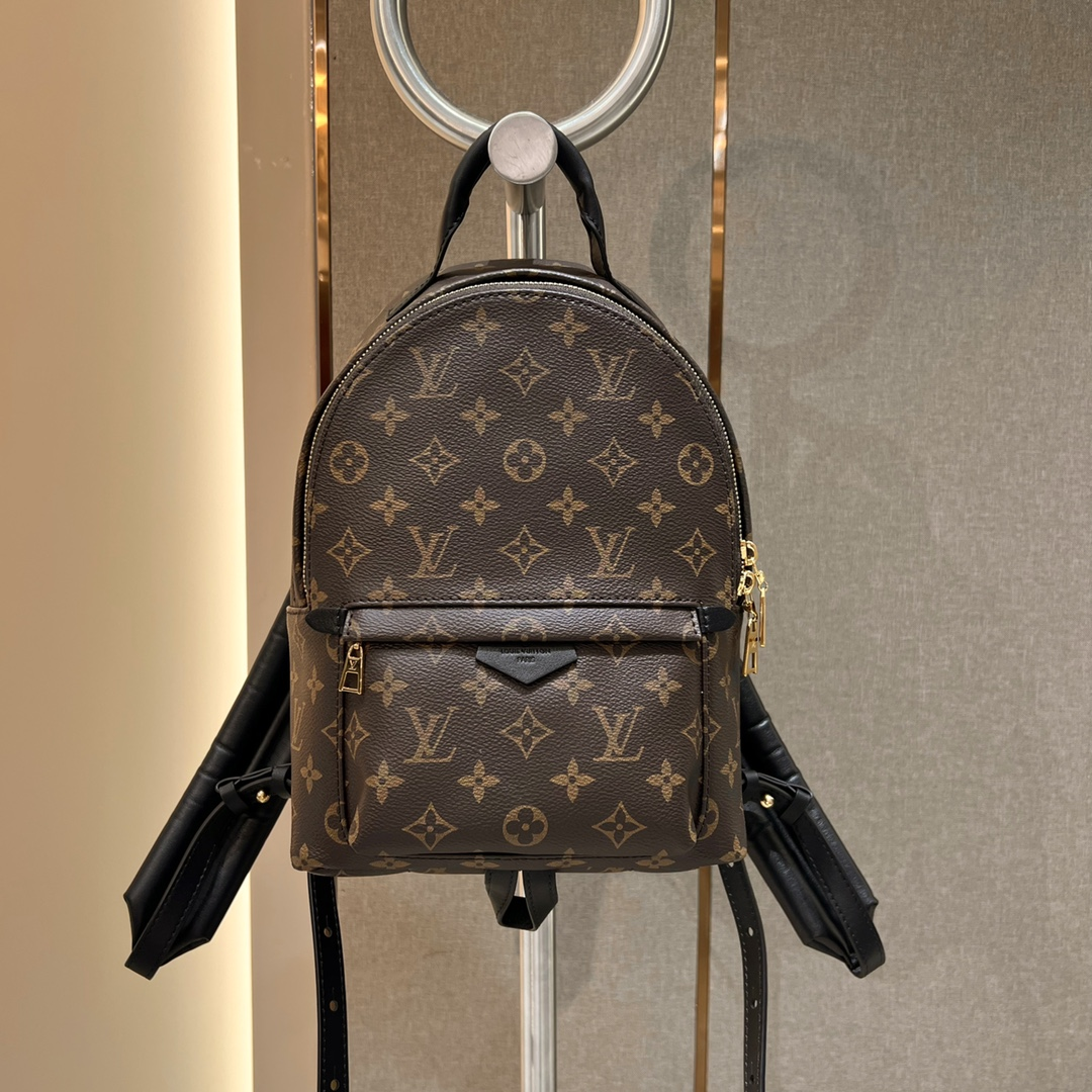 Louis Vuitton Monogram Mini Ba