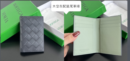 太空灰配鼠尾草绿