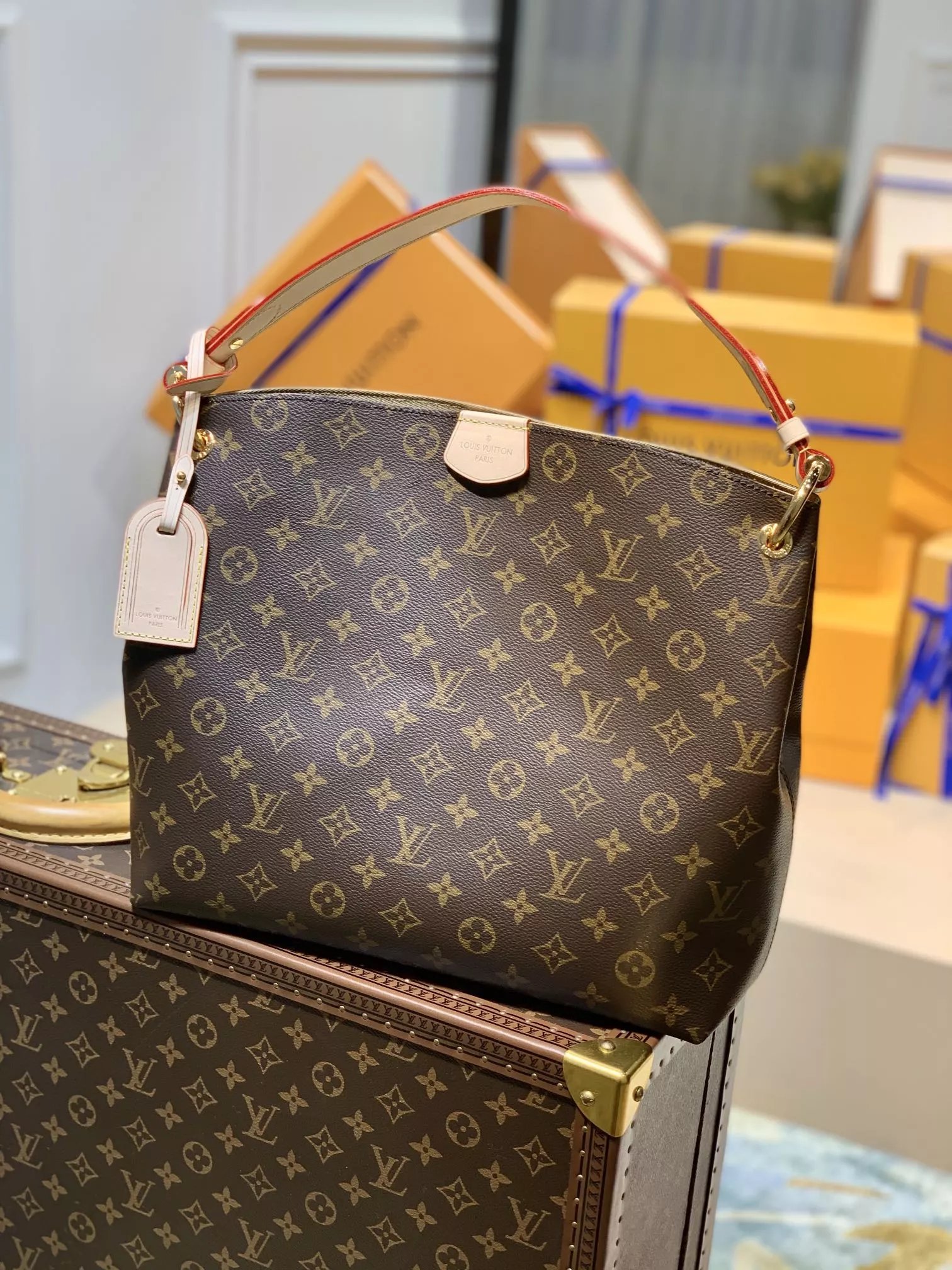 Louis Vuitton Monogram Canvas 