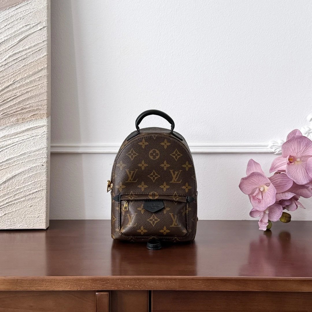 Louis Vuitton Monogram Mini Ba