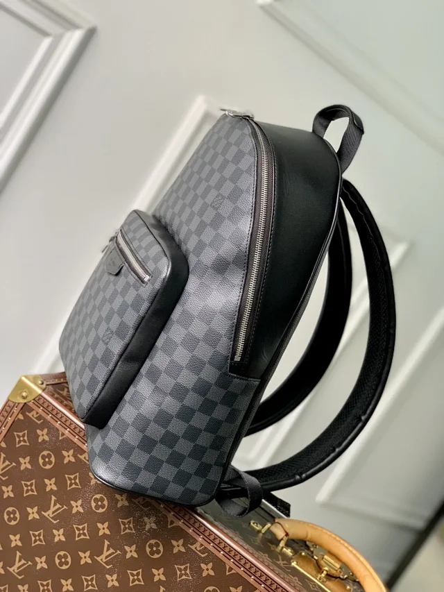 Louis Vuitton Backpacks N40365 Josh Backpack product detail image 3