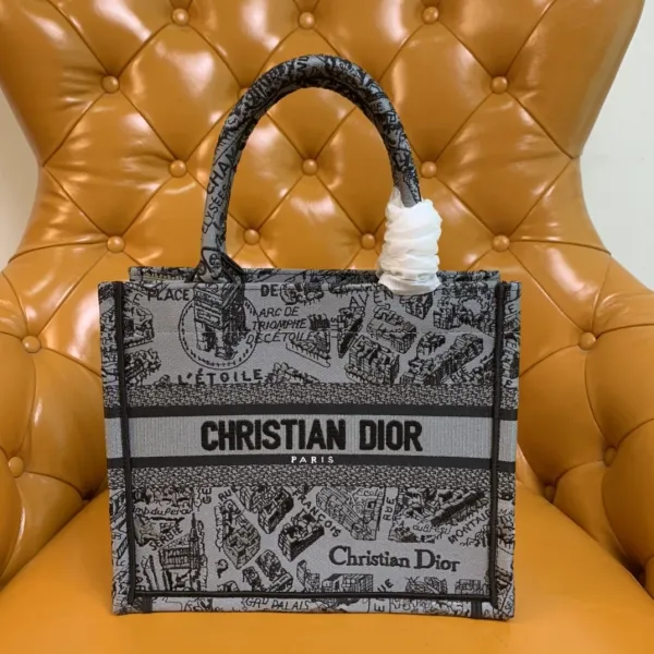 Dior Book Tote Paris Map Gray Canvas Tote Bag - 2