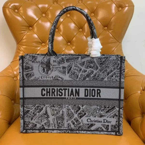 Dior Book Tote Paris Map Gray Canvas Tote Bag - 1