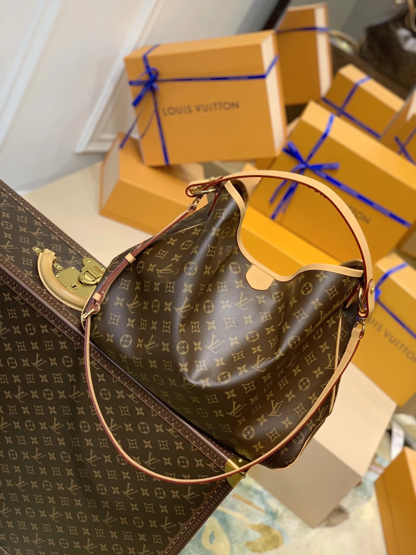 Louis Vuitton Monogram Hobo Ba