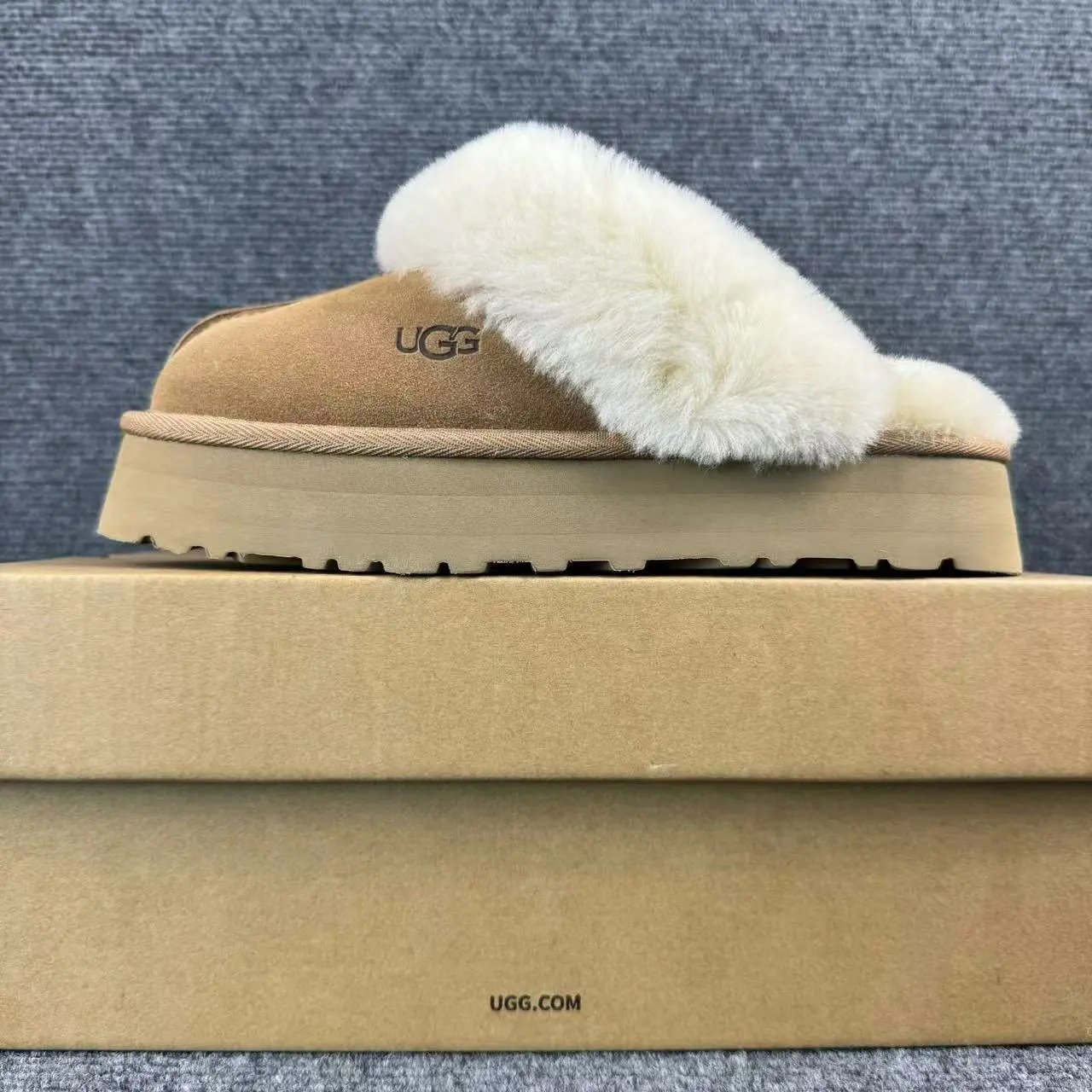 2550 chestnut color