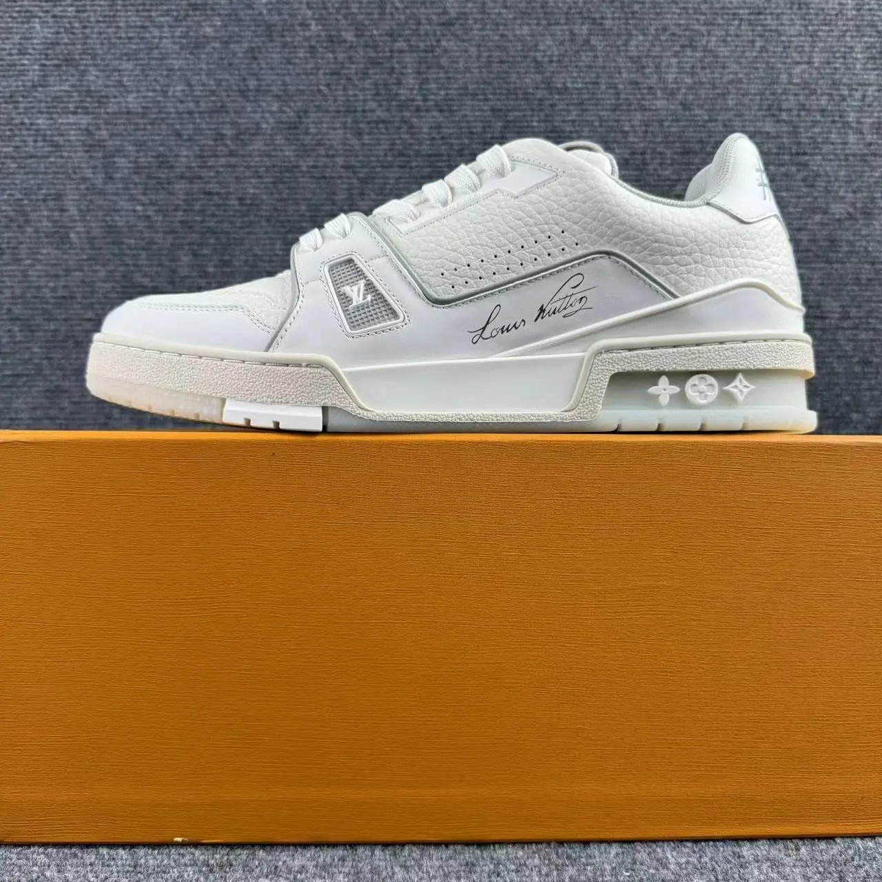 Louis Vuitton Trainer (31 Colorways)