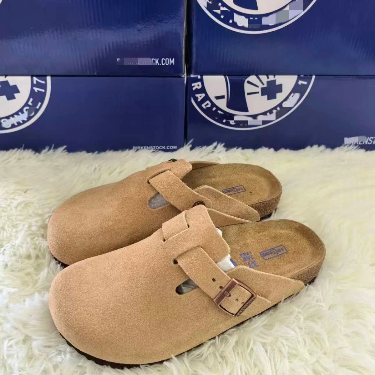 Camel 1
