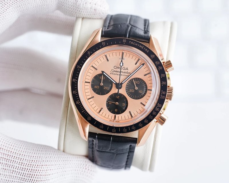 Omega watch