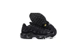 thumbnail for TNCollection w2crep.com