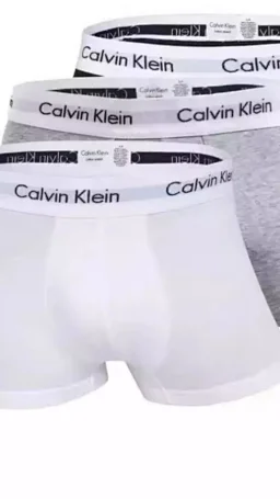 thumbnail for top quality C cotton boxers C men's boxer cotton panties