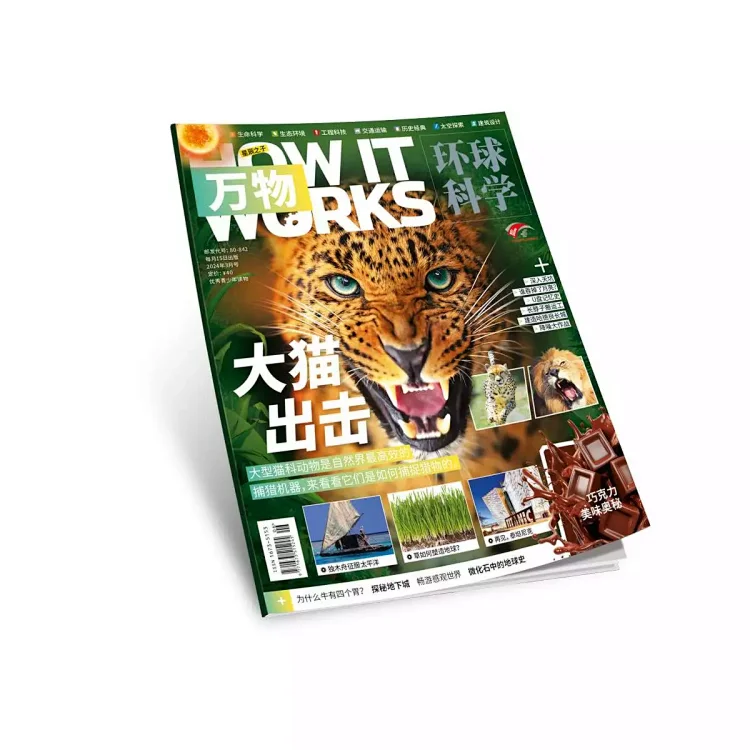 商品详情