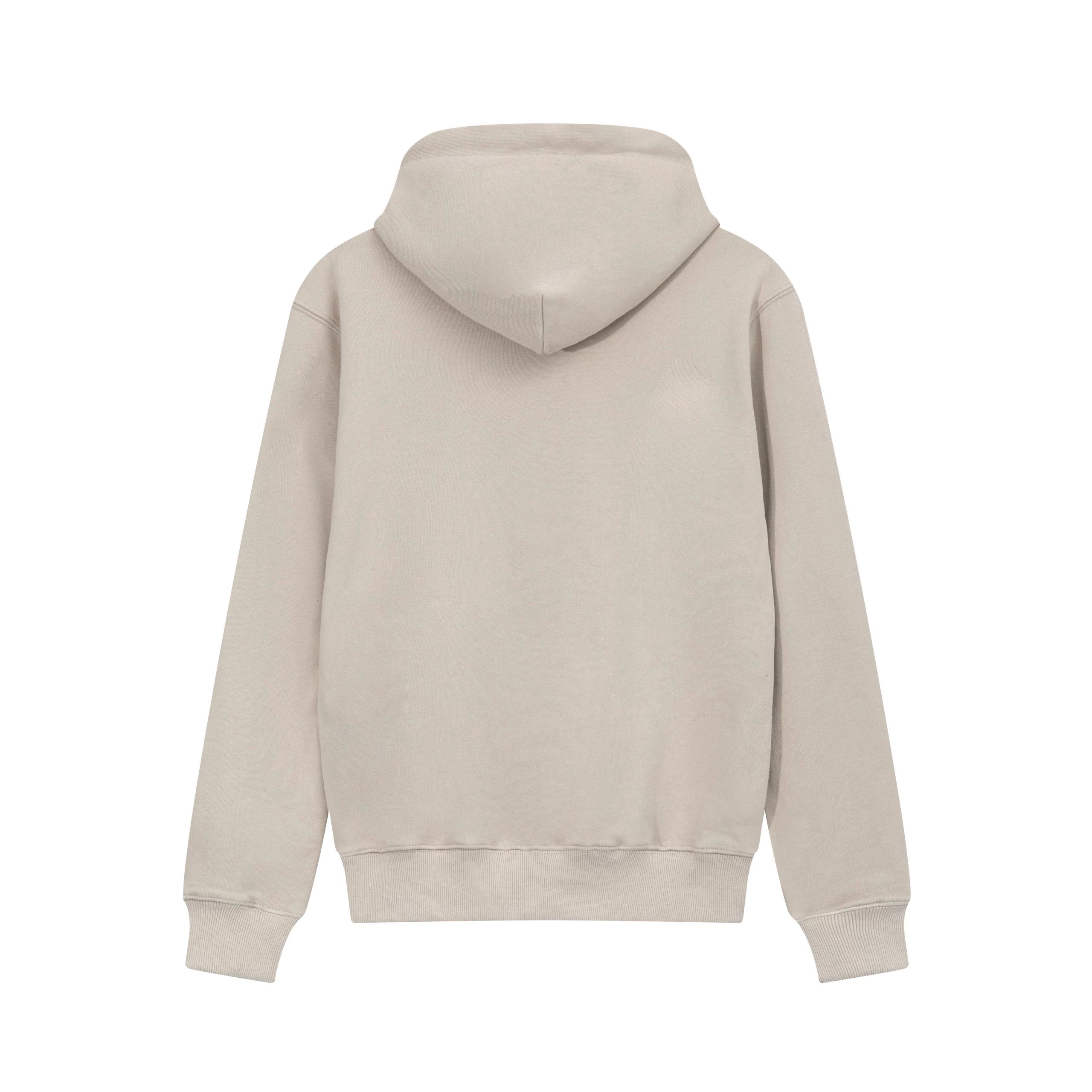 Carhartt Script Logo Hoodie White - 8