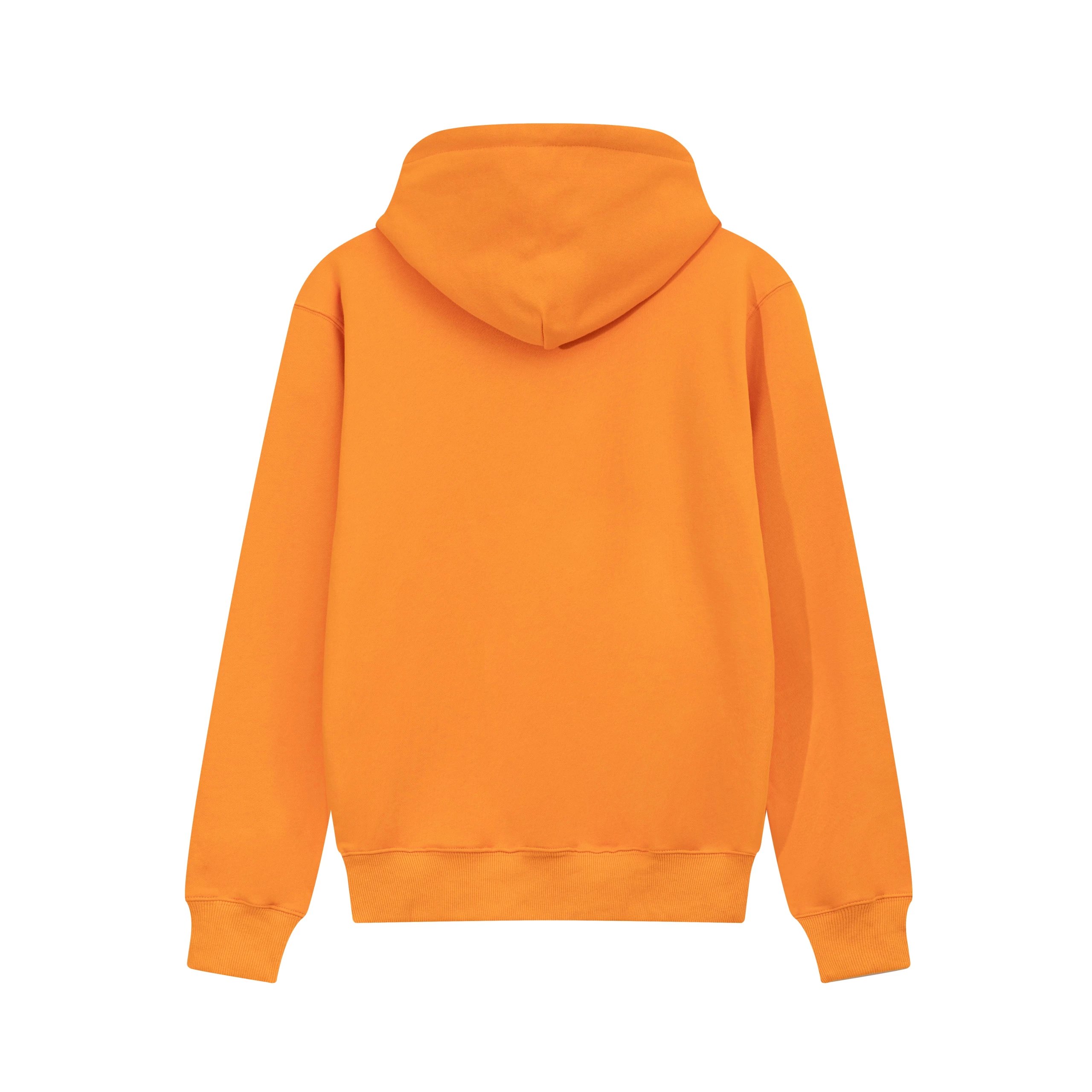 Carhartt Script Logo Hoodie White - 10