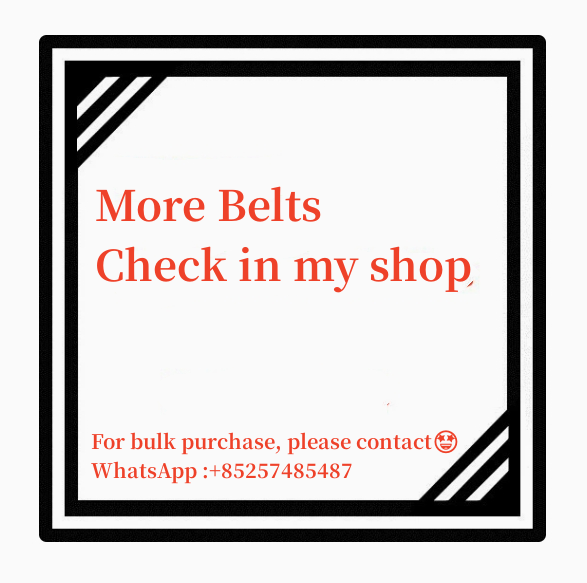 皮带没有变加了保护图 belt with box 2