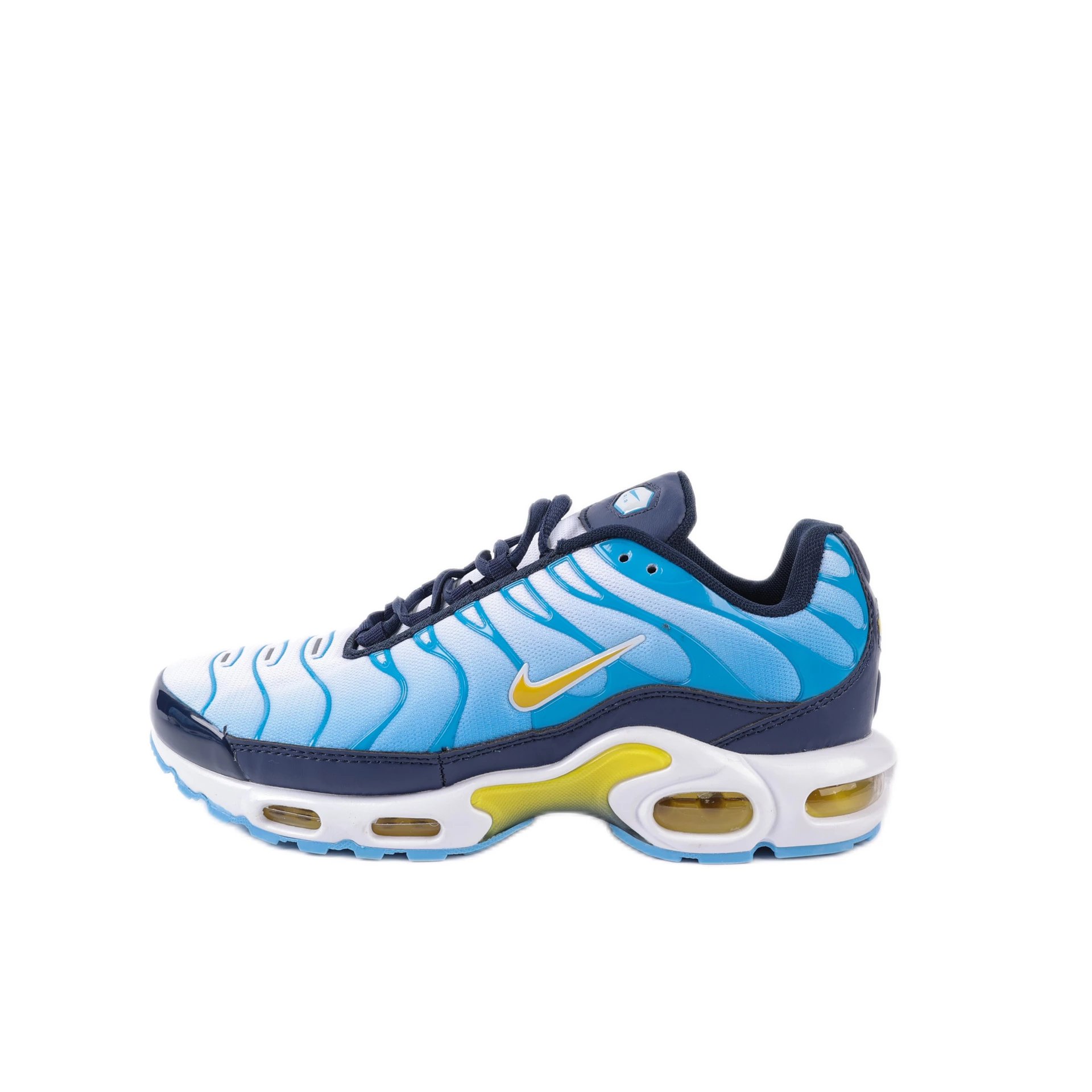 Nike Air Max Plus Pink Gradient