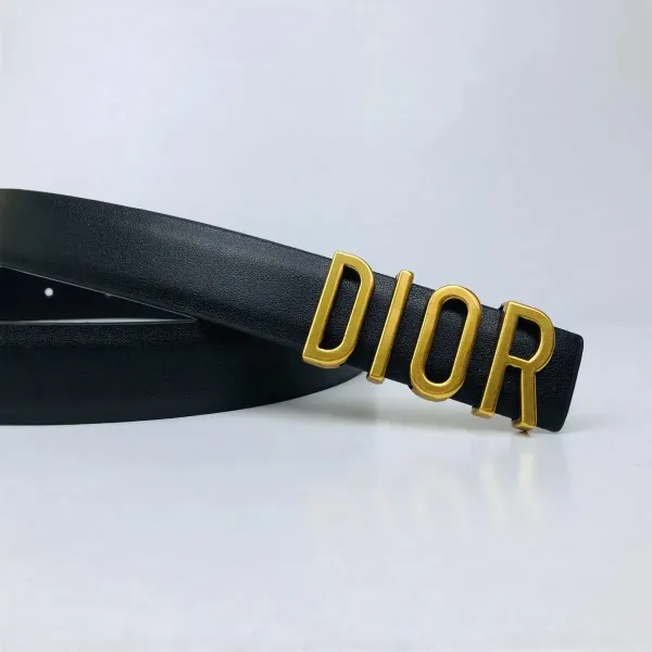 Dior Oblique Canvas Belt Black and Beige - 29