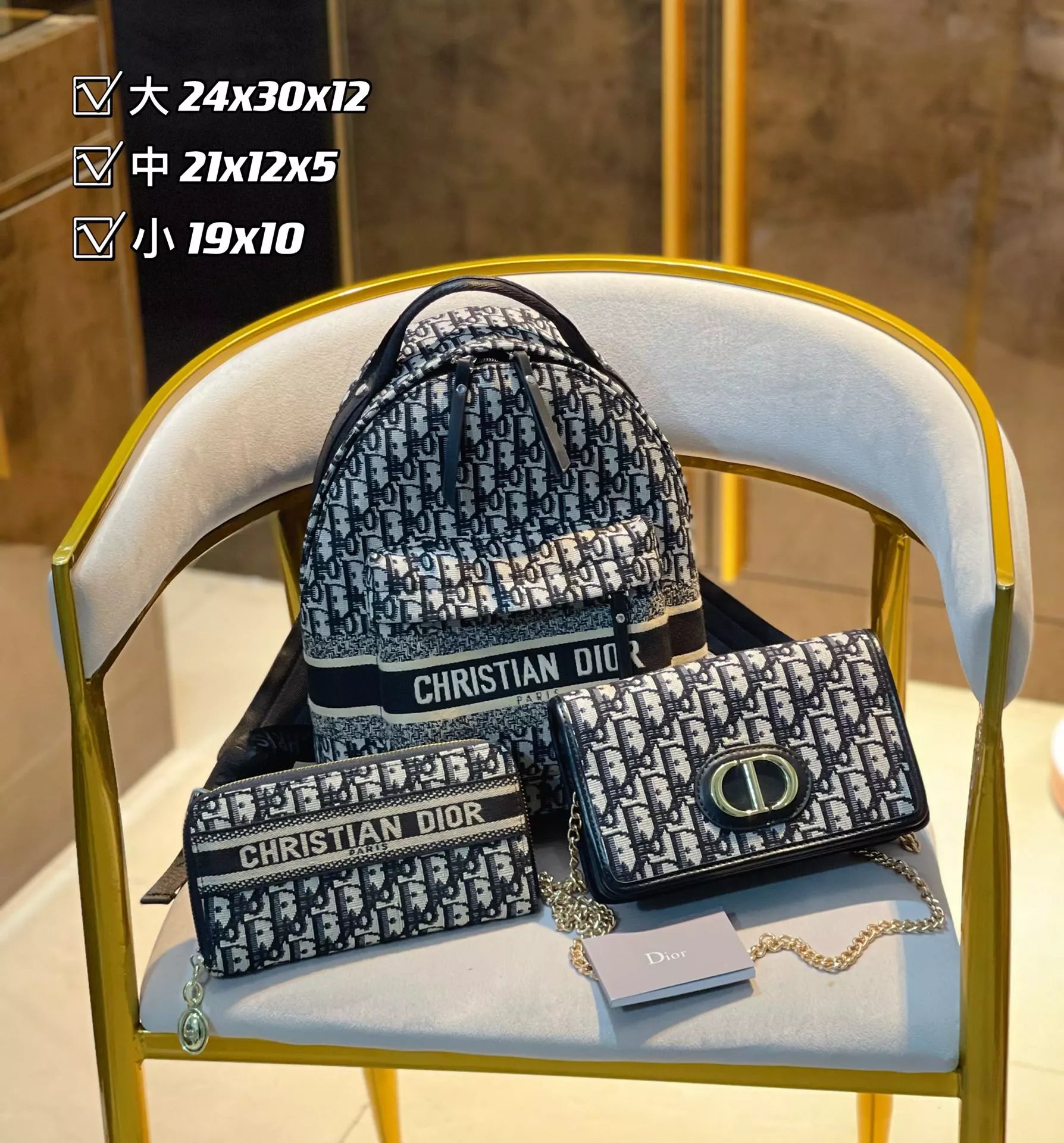 Dior Oblique Monogram Mini Backpack Set Navy and White - 3