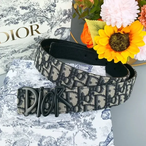 Dior Oblique Canvas Belt Black and Beige - 2