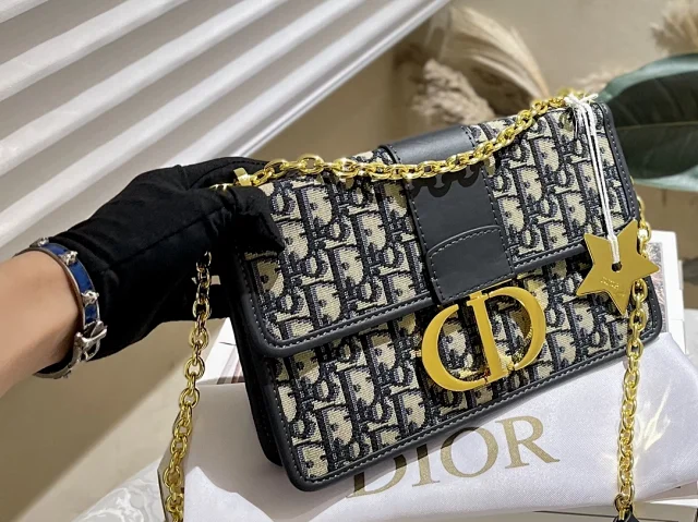 Dior Shoulder Bags Quilted CD-clasp chain bag product detail image 12
